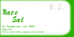 mate sal business card